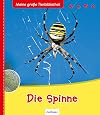 Die Spinne