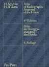 Atlas of radiographic anatomy of the horse
