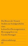 Die Hexen der Neuzeit: Studien zur Sozialgeschichte eines kulturellen Deutungsmusters