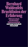 Bruchlinien der Erfahrung: Phänomenologie - Psychoanalyse - Phänomenotechnik (suhrkamp taschenbuch wissenschaft)