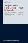 The spirit world in the letters of Paul the Apostle a critical examination of the role of spiritual beings in the authentic Pauline epistles