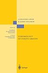 Cohomology of finite groups
