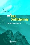 Das Sintflutprinzip. Ein Mathematik-Roman