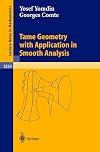 Tame Geometry with Application in Smooth Analysis