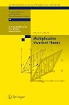 Multiplicative Invariant Theory: 135 (Encyclopaedia of Mathematical Sciences, 135)
