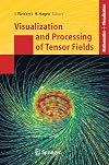 Visualization and Processing of Tensor Fields (Mathematics and Visualization)