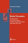 Brain Dynamics