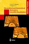 Hierarchical and geometrical methods in scientific visualization