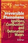 Irreversible Phenomena: Ignitions, Combustion and Detonation Waves