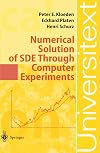 Numerical Solution of SDE Through Computer Experiments