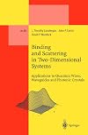 Binding and Scattering in Two-Dimensional Systems: Applications to Quantum Wires, Waveguides and Photonic Crystals (Lecture Notes in Physics Monographs, 60)