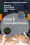 Group B Coxsackieviruses