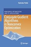 Conjugate Gradient Algorithms in Nonconvex Optimization (Nonconvex Optimization and Its Applications)