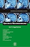 Gehirn & Wahrnehmung
