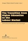 The Transition from Higher Education to the Labour Market: International Perspectives and Challenges