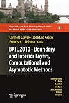 BAIL 2010 - Boundary and Interior Layers, Computational and Asymptotic Methods