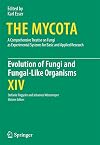 Evolution of fungi and fungal-like organisms