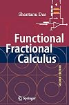 Functional fractional calculus