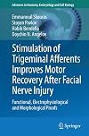 Stimulation of Trigeminal Afferents Improves Motor Recovery After Facial Nerve Injury Functional, Electrophysiological and Morphological Proofs