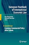 Common commercial policy after Lisbon