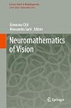 Neuromathematics of Vision