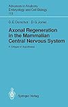 Axonal Regeneration in the Mammalian Central Nervous System : A Critique of Hypotheses