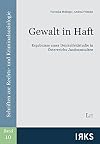 Gewalt in Haft: Ergebnisse einer Dunkelfeldstudie in Österreichs Justizanstalten