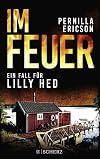 Im Feuer: Ein Fall für Lilly Hed. Der brandheiße Bestseller aus Schweden