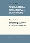 Ontogenesis of the Skeleton and Intrinsic Muscles of the Human Hand and Foot