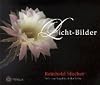 Reinhold Stecher, Licht-Bilder