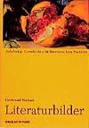Literaturbilder. Salzburgs Geschichte in literarischen Porträts