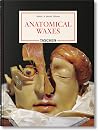 Anatomical Waxes. 45th Ed. (45th Edition) (Multilingual Edition)