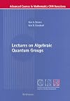 Lectures on algebraic quantum groups