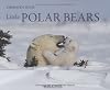Little Polar Bears