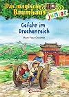 Das magische Baumhaus junior - Gefahr im Drachenreich: Band 14