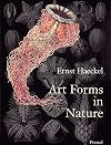 Art Forms in Nature