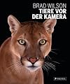 Tiere vor der Kamera