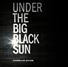 Under the Big Black Sun: California Art 1974-1981