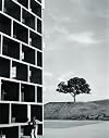 Constructing Worlds: Photography and Architecture in the Modern Age