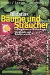 Bildatlas B&auml;ume und Str&auml;ucher: In Zierg&auml;rten und Parkanlagen. Steckbriefe und Tabellen von A - Z: Streckbriefe und Tabellen von A - Z (Bildatlanten)