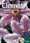 Schöne Clematis. Kletterpflanzen für jeden Garten