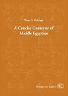 Concise Grammar of Middle Egyptian