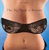 The Big Book of Breasts