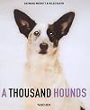 A Thousand Hounds