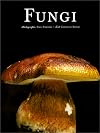 Mushrooms