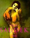 Jan Saudek (English and German Edition)