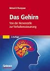 Das Gehirn: Von der Nervenzelle zur Verhaltenssteuerung