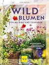 Wildblumen für Balkon und Terrasse mit einheimischen Arten Lebensraum für bedrohte Insektenarten schaffen