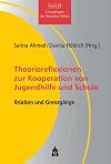 Theoriereflexionen zur Kooperation von Jugendhilfe und Schule: Brücken und Grenzgänge