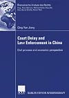 Court Delay and Law Enforcement in China Civil process and economic perspective